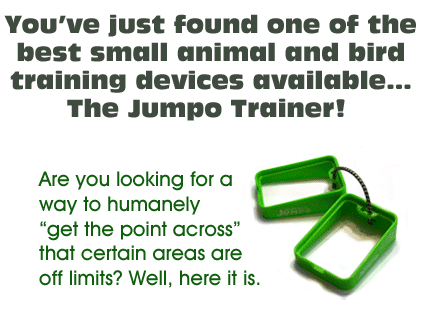 cats off of furniture